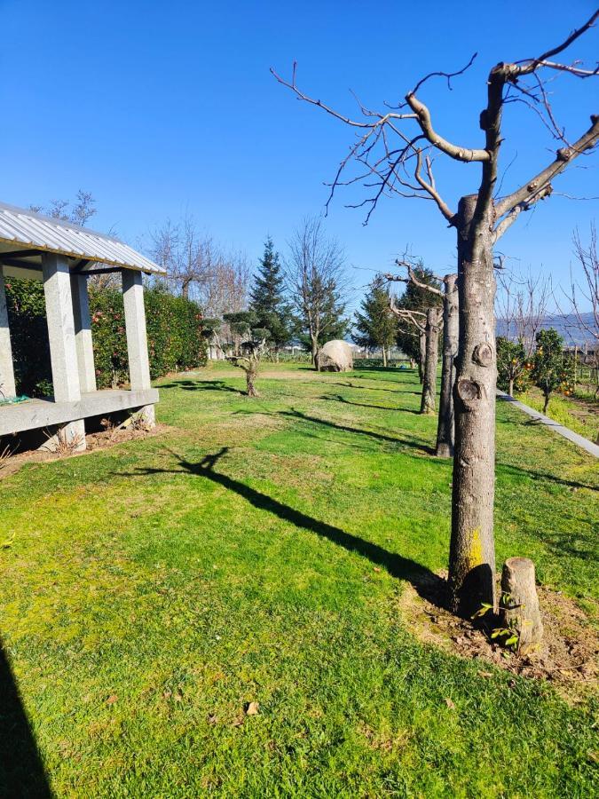 Hotel Quinta De Basto House Felgueiras Zewnętrze zdjęcie